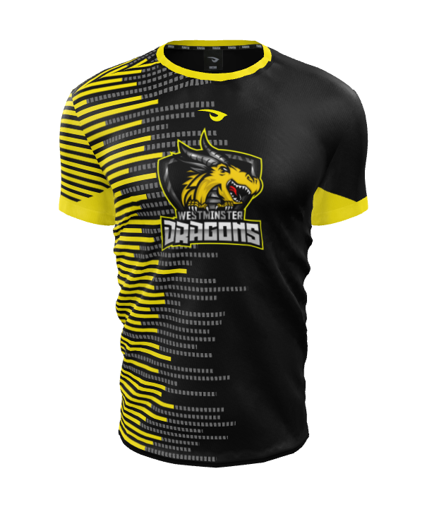 Lions Dragons Wolves T-Shirt Lions Dragons Wolves T-Shirt
